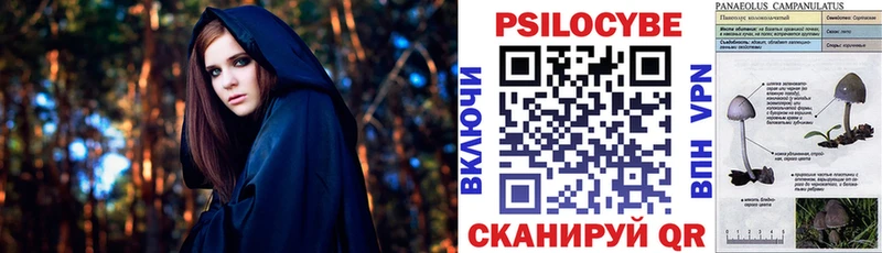 Псилоцибиновые грибы GOLDEN TEACHER  Купить  Белая Калитва 