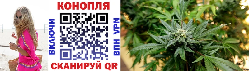 Конопля OG Kush  Купить  Белая Калитва 